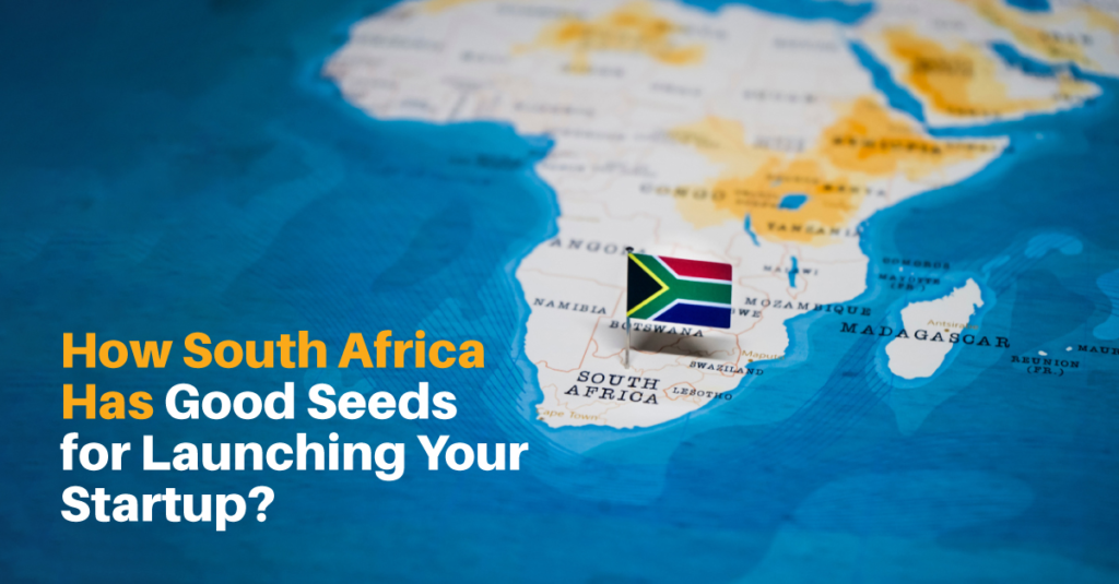 How South Africa has Good Seeds for Launching Your Startup?